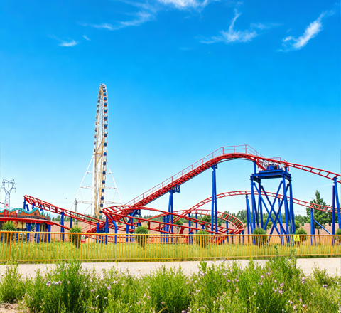 family coaster for sheikra ride