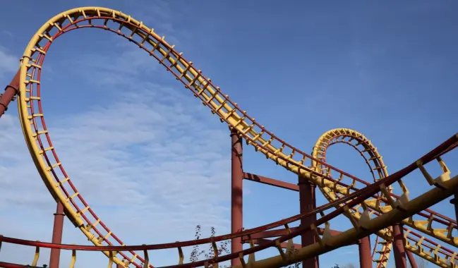 Everything You Need to Know About Roller Coasters: Types, Tracks, Prices, and Buying Guide