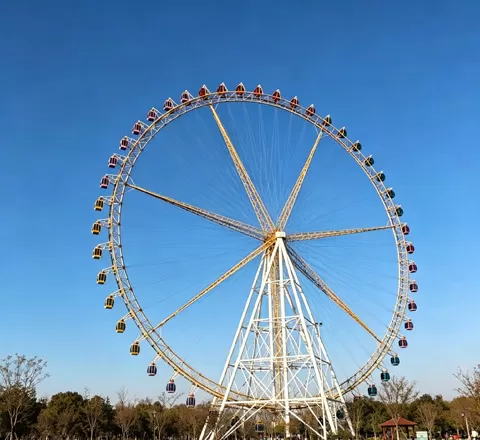 amusement park wheel ride