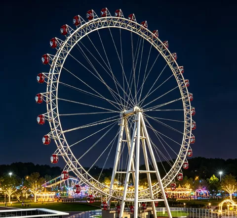 backyard ferris wheel for sale