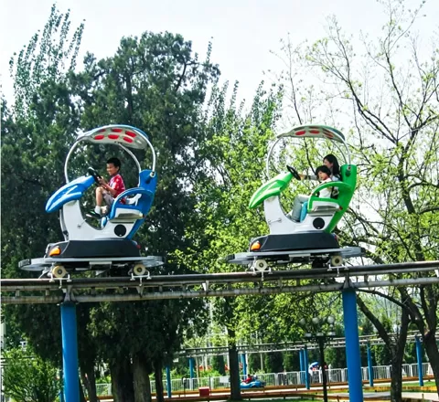 backyard roller coaster for sale