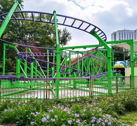 backyard roller coaster