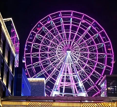 circus ferris wheel