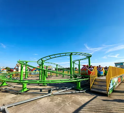 disney world hollywood studios slinky dog dash custom