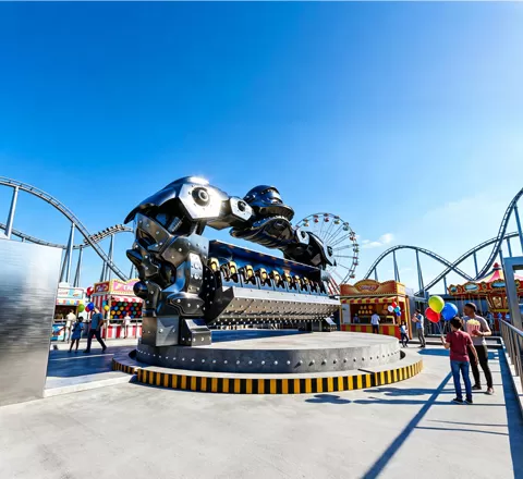 family kingdom rides custom