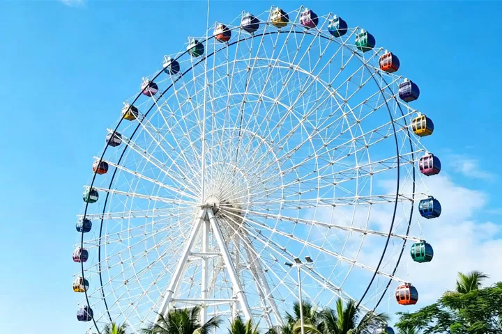 Features of ﻿65m Ferris Wheel