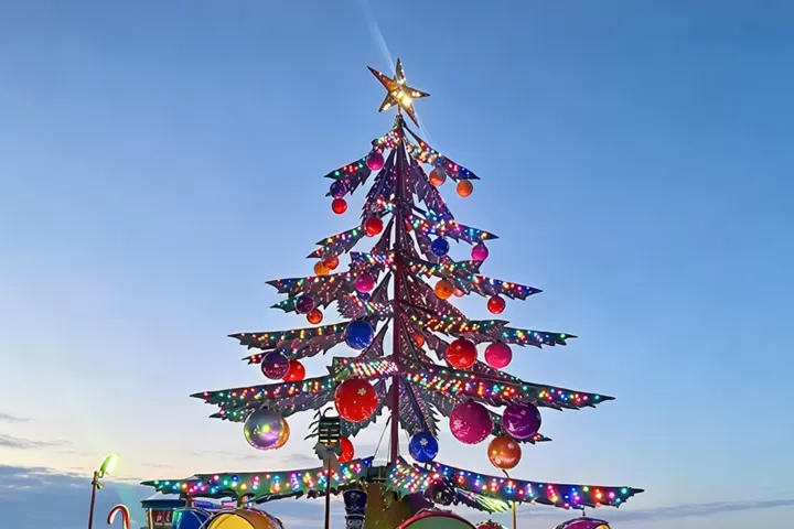 Features of Christmas Tree