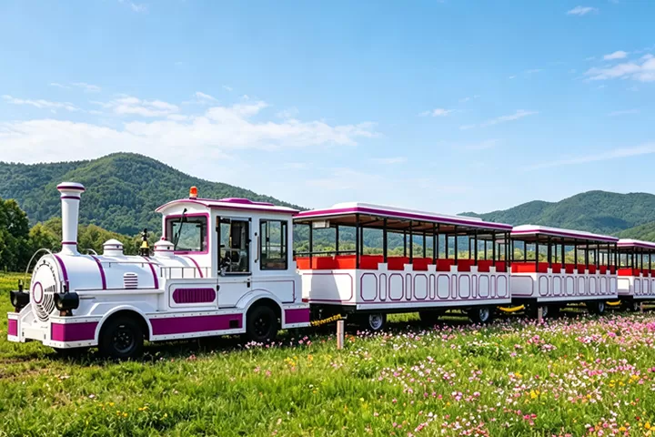 Features of ﻿Trackless Train