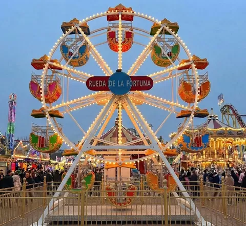 ferris wheel cost