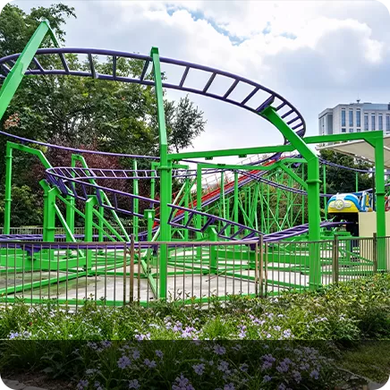 Mini Roller Coaster Ride