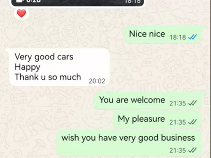 Sky Net Bumper Cars Installed in Saudi Resort with Excited First Ride Feedback