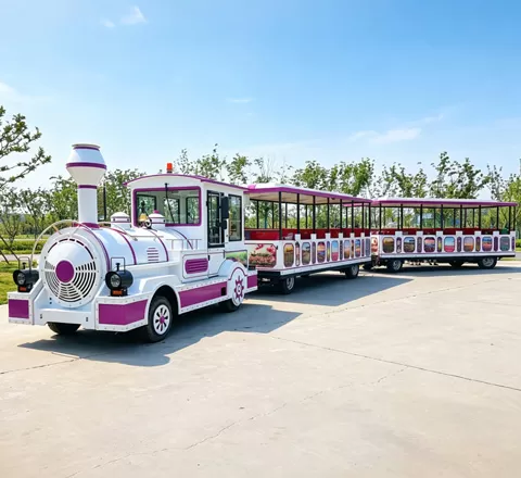 tourist special train
