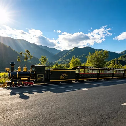 Track Train Ride